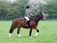 20060514 Shilton Gymkhana