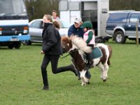 IMG 4361