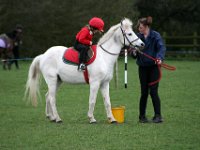IMG 4386