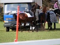 IMG 4510