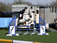 IMG 4531