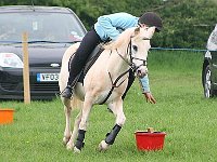 IMG 5316-1