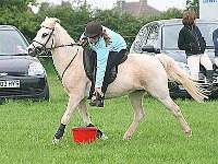 IMG 5319-1