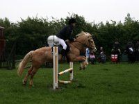 IMG 5098