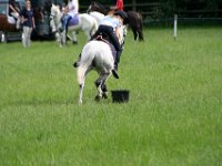 IMG 6985