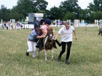 IMG 8490