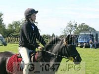 IMG 1047