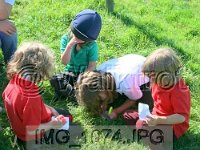 IMG 1074