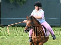 IMG 1107