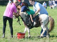 IMG 1169