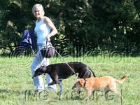 IMG 1188