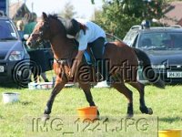 IMG 1221
