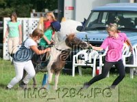 IMG 1294