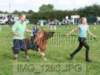 IMG 1296