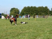 IMG 1075