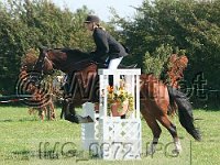 IMG 0972