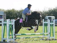 IMG 0992