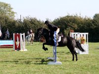 IMG 0946