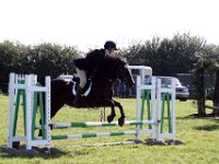 IMG 0948