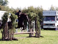 IMG 0978