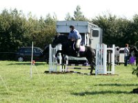IMG 0989