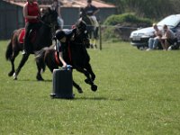 IMG 3084