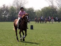 IMG 3085