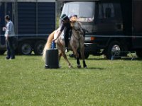 IMG 3093