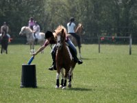 IMG 3094