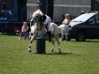 IMG 3099