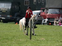 IMG 3120