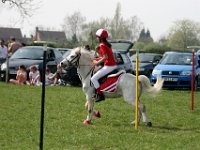 IMG 3142