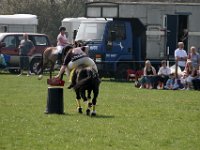 IMG 3150