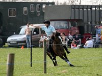 IMG 3172