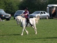 IMG 3244