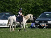 IMG 3249