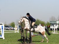 IMG 2906