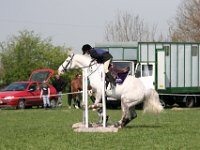 IMG 2994