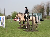 IMG 3080