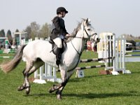 IMG 3091