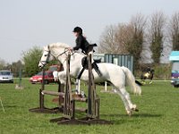 IMG 3164