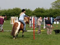 IMG 3536
