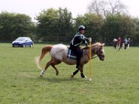 IMG 3548