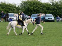 IMG 3629