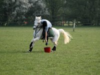 20070429 Shilton Gymkhana 1