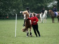 IMG 8899