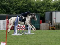 IMG 3431