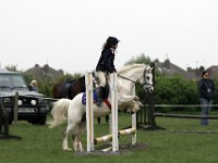 IMG 8767