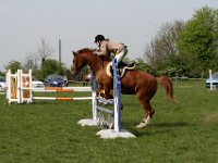 IMG 8935
