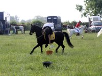 IMG 0041